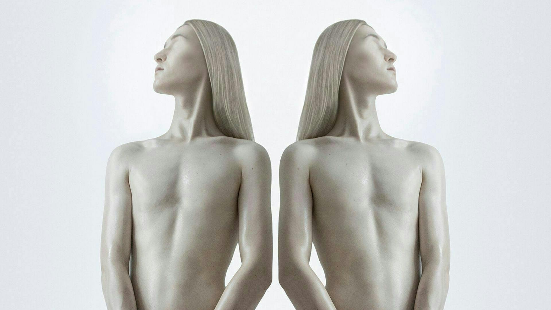 mannequin back torso person human