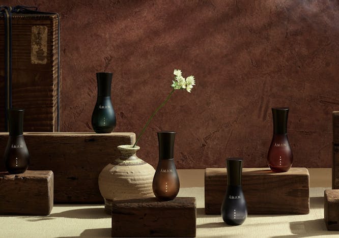 vase jar pottery potted plant plant tabletop furniture ikebana flower blossom