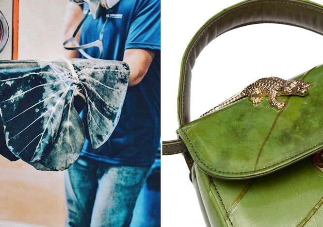 person handbag accessories bag lizard animal purse clock tower building wristwatch