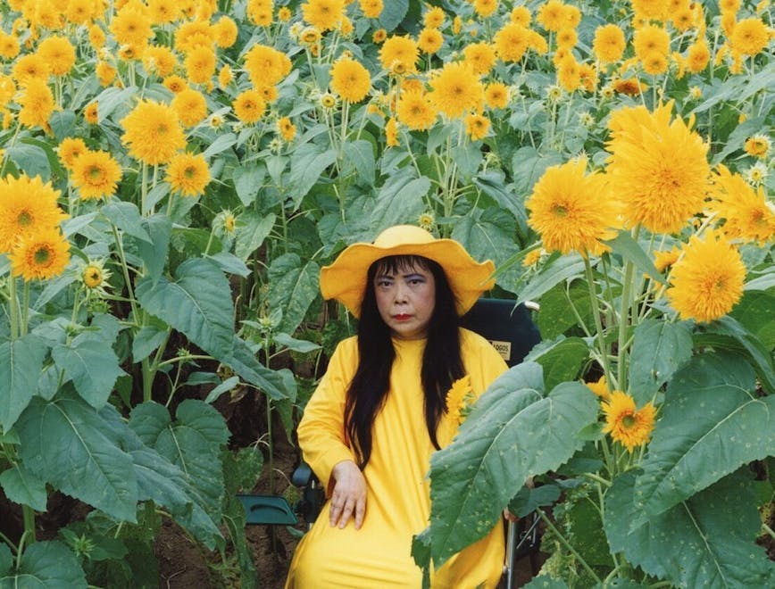 hat clothing apparel person human plant flower blossom sunflower coat