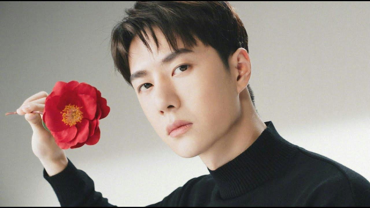 plant rose flower blossom person human face