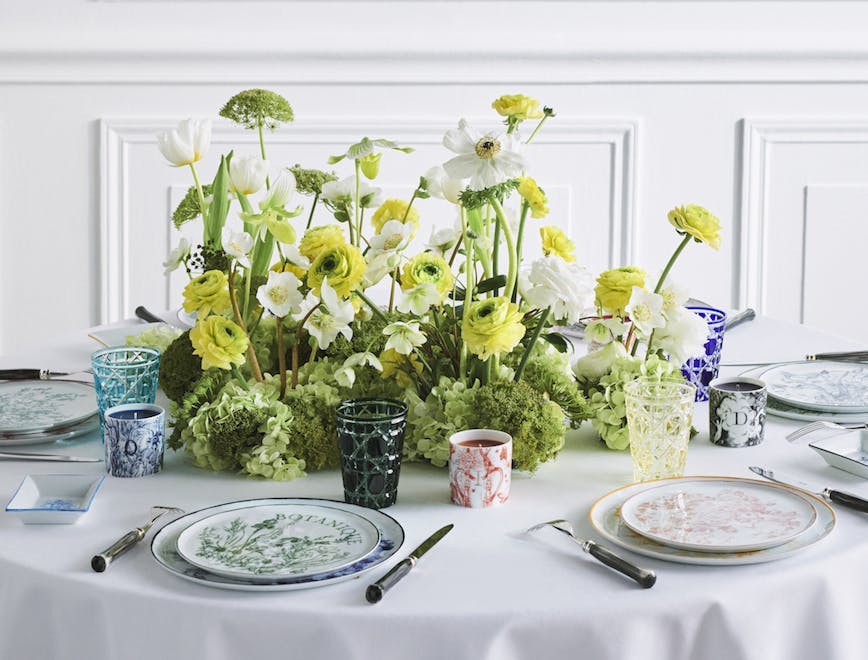 plant home decor flower blossom flower arrangement tabletop furniture glass pottery