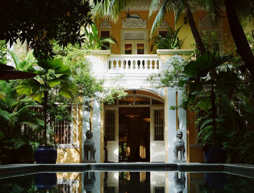 house housing villa summer hotel resort garden nature palm tree plant